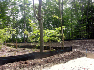An erosion control installation being monitored at Seabrook, NH.